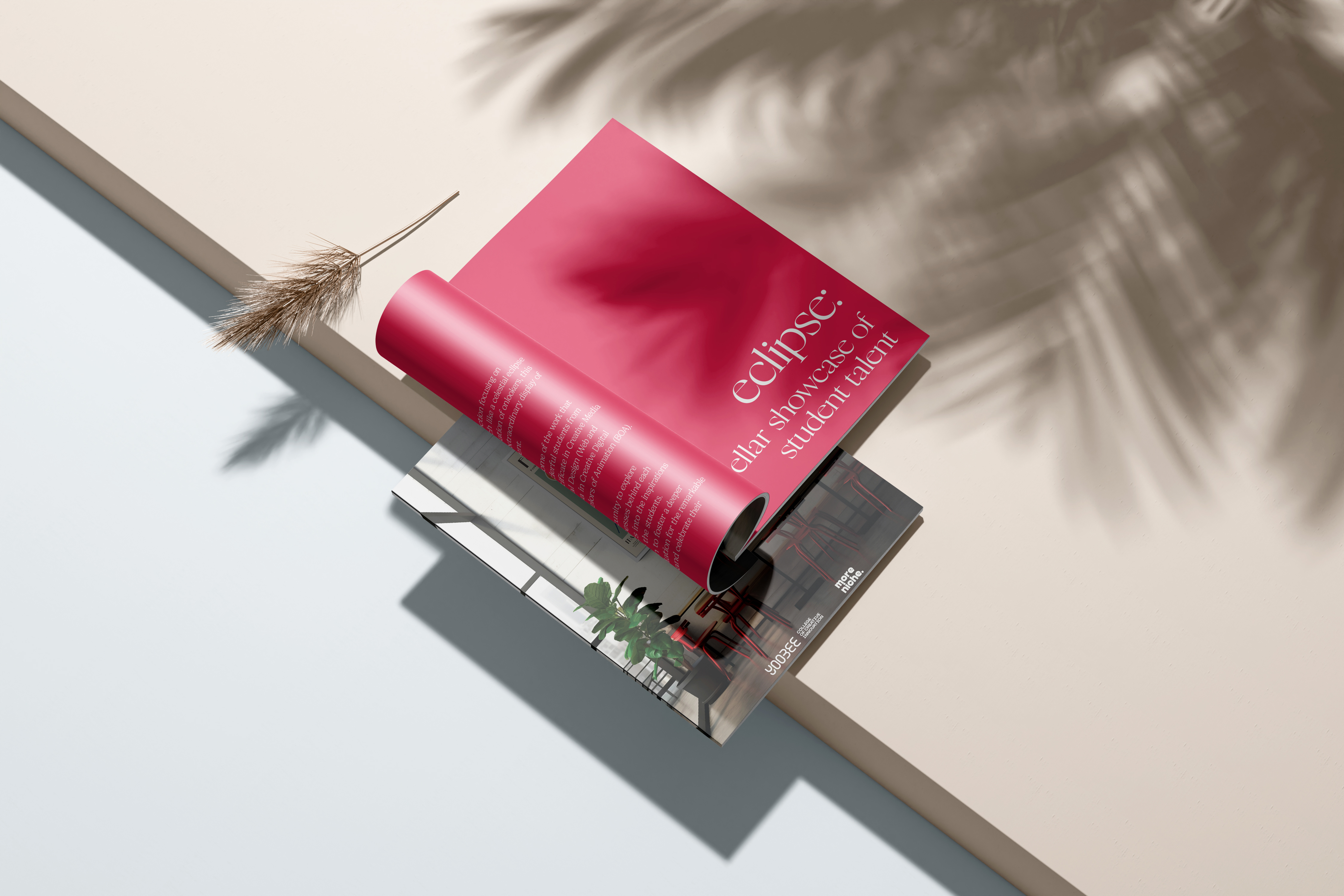 Design Education